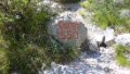arco-che040