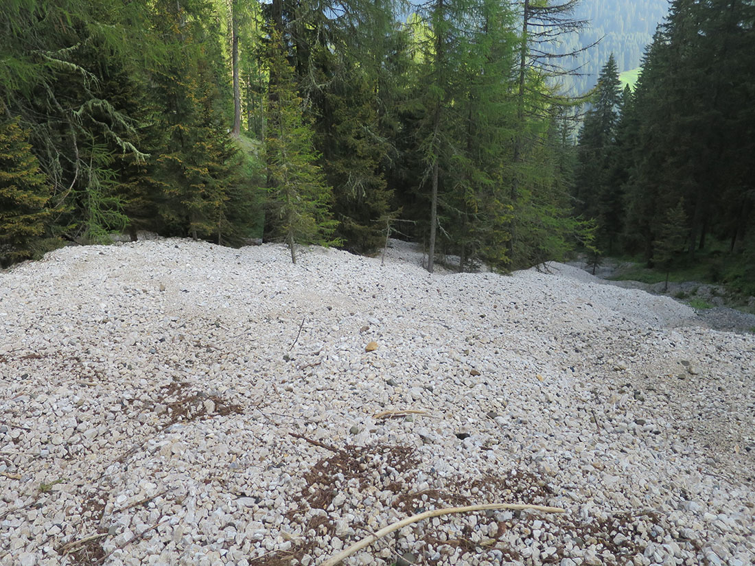 gadotti003.jpg - Ein Fluss aus Kies. Sehr seltsam, weil die Quelle nicht unmittelbar klar ist.                               