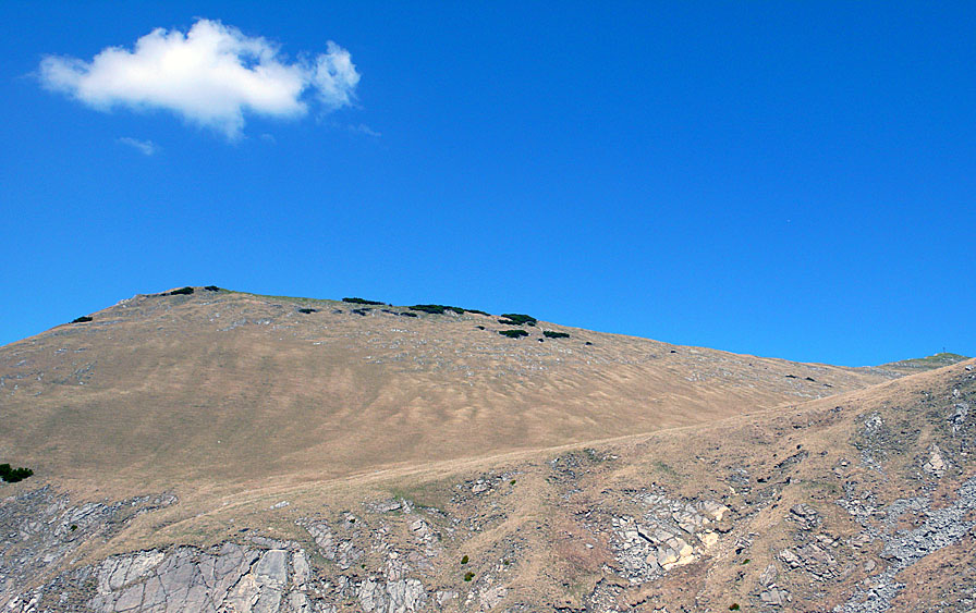 frieder06.jpg - Eigenartige Minimallandschaft