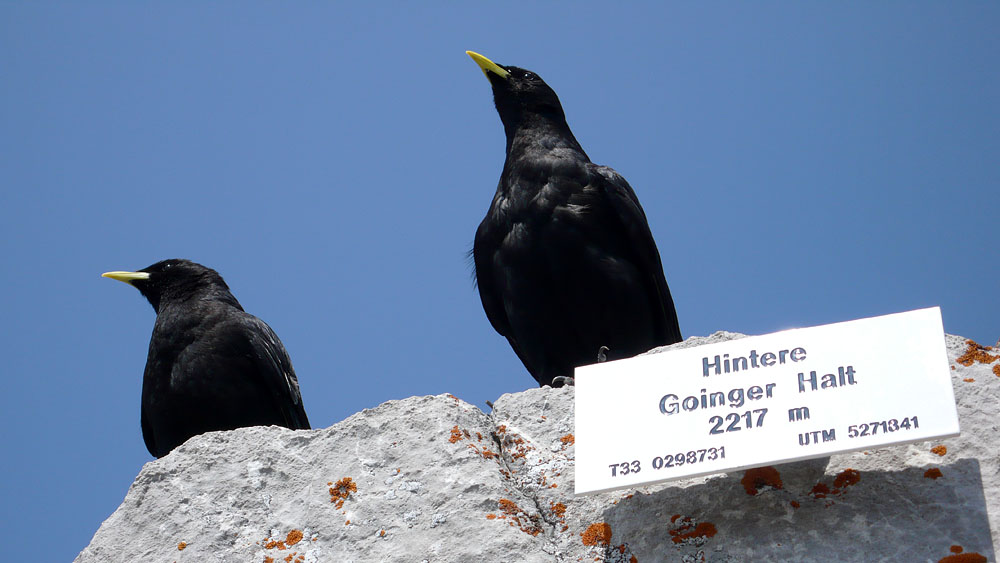 P1000808.JPG - Die Chefs sind wir!