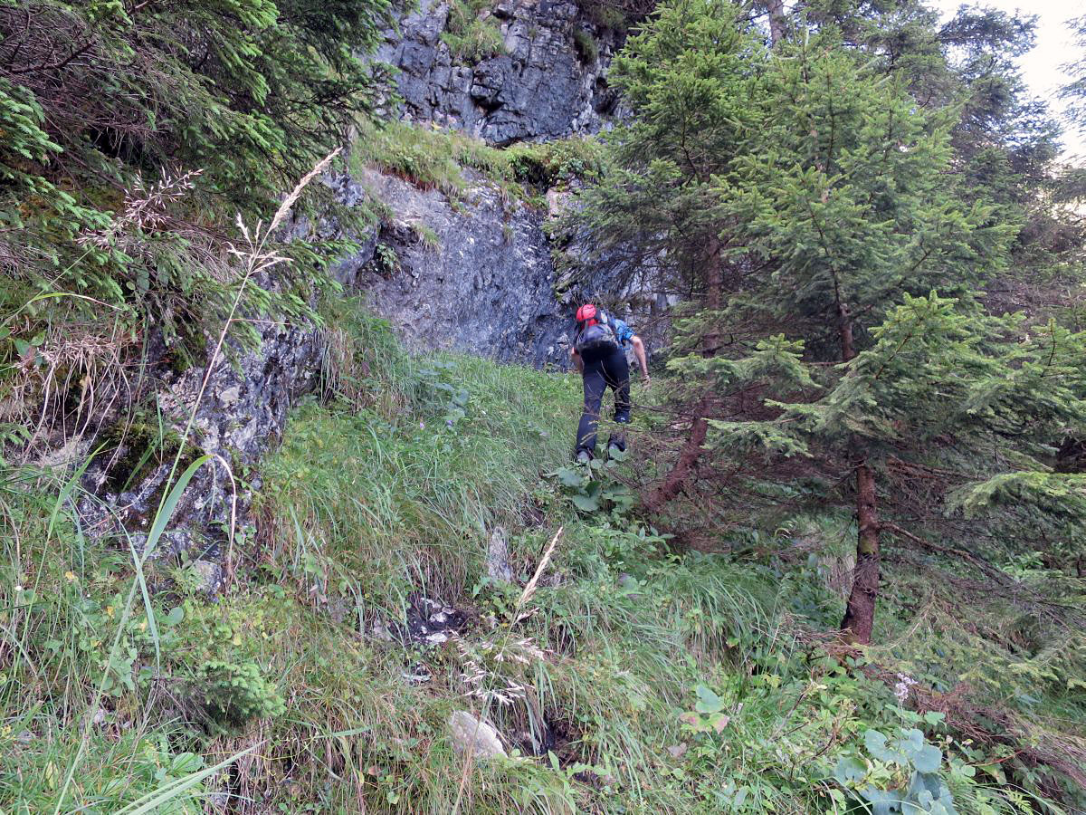 lali006.JPG - Und rein ins Vergnügen. Der Weg war feucht und lästig rutschig durch die vergangenen Regenfälle.