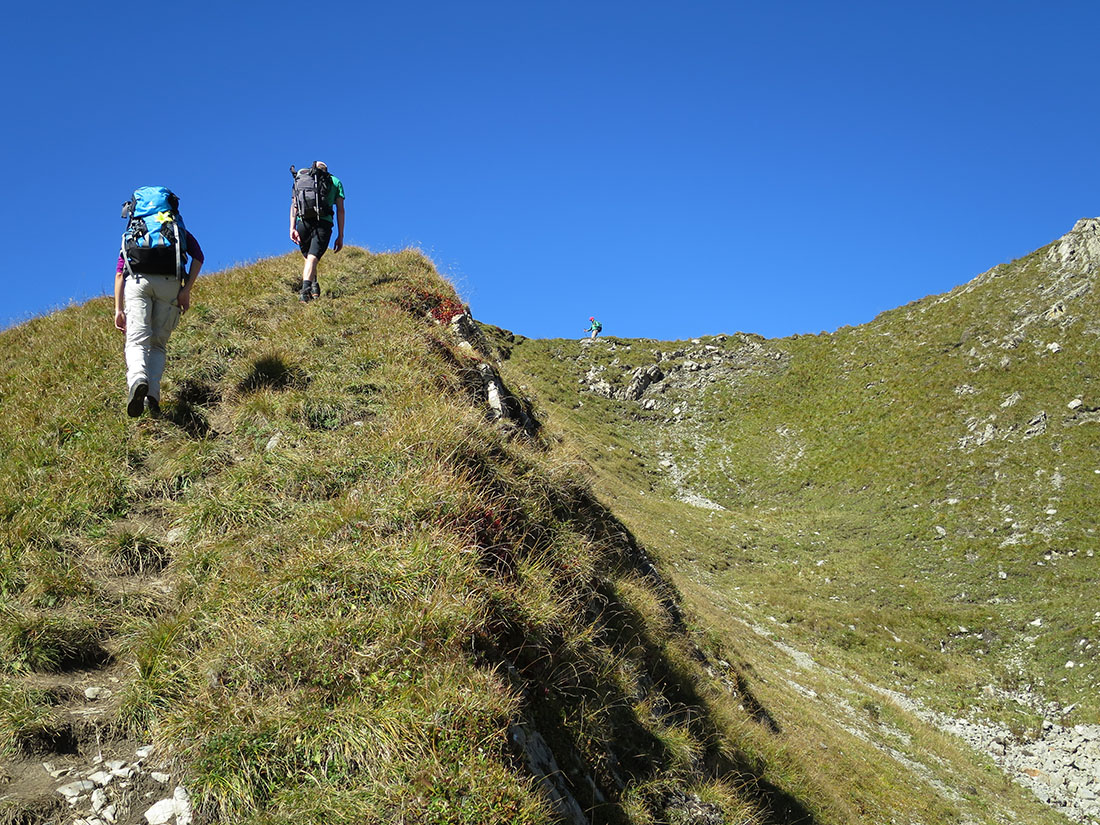 bleispitz40.jpg - Gras und....Gras                               