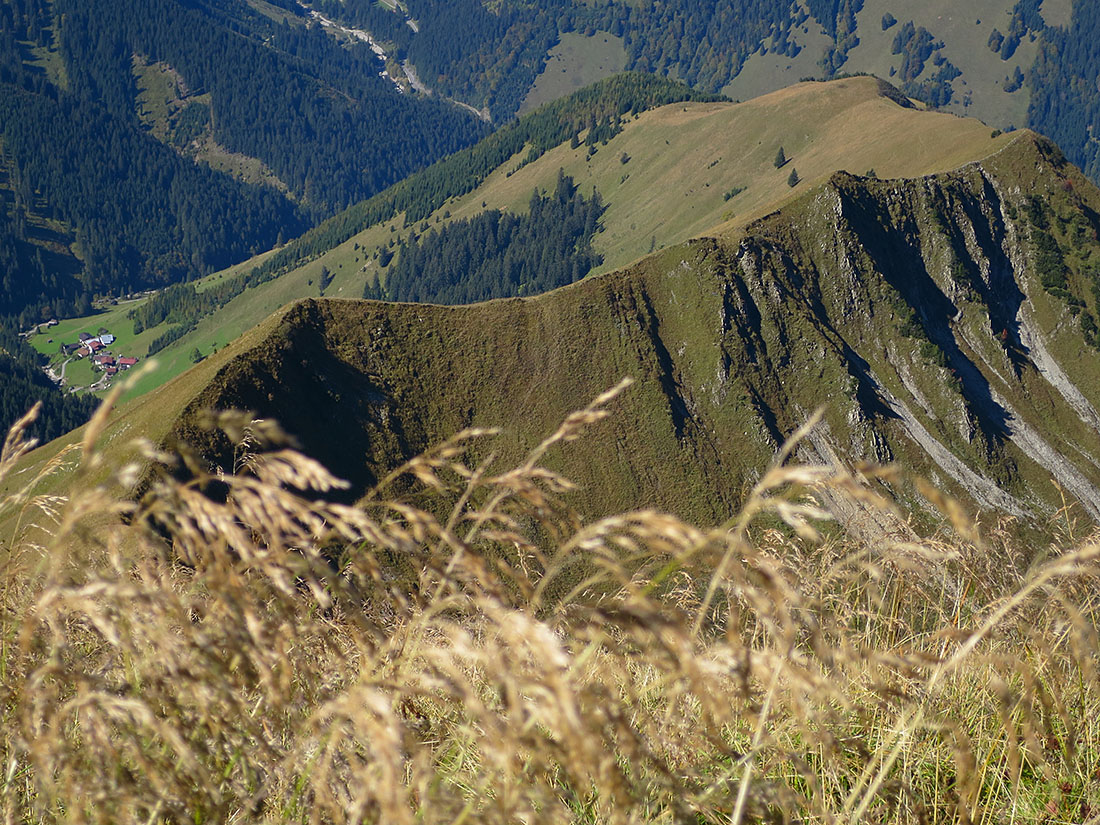 bleispitz80.jpg - Unsere Abstiegsroute über den Grat sah interessant aus, war sie auch, aber recht wild und forderte den wendigen Berggänger heraus. Unmittelbar nach Regenfällen keine gute Idee. Im staubtrockenen Sommer geht's ganz gut. Man rumpelt am Ende die steile Wiese überhalb der Höfe runter.