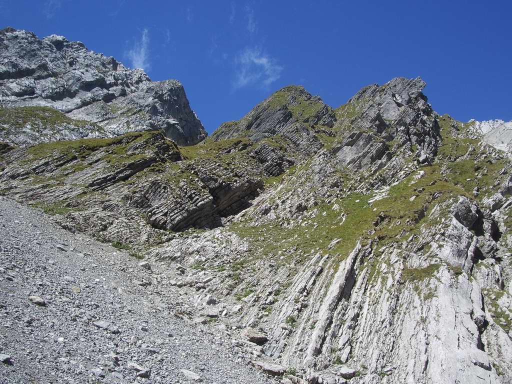 N&auml;chstes Bild
