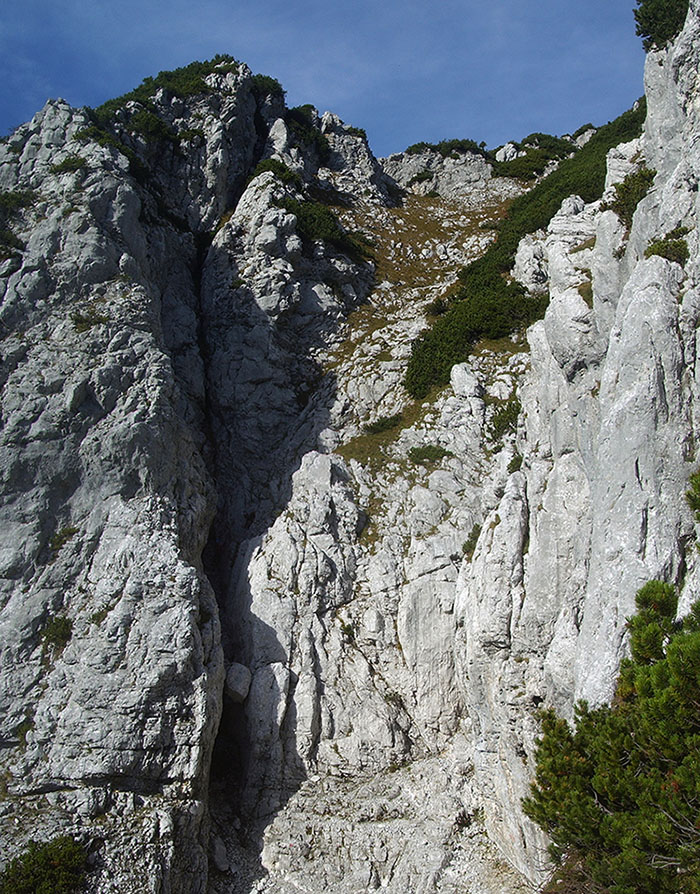 treffauer142.jpg - Die Rinne in Frontalsicht. Sie ist regelrecht ein Sammeltrichter für Steine, die weiter oben aus den Wiesen rausgetreten werden. Helm ist kein Fehler. Auch wir bekamen von zwei ungelenken Wanderern eine Ladung runter geschickt.