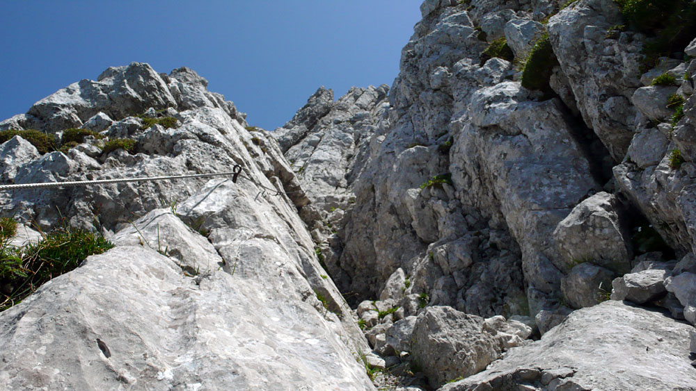 widauer090.jpg